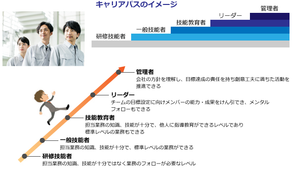 人材派遣の社員キャリアパス制度